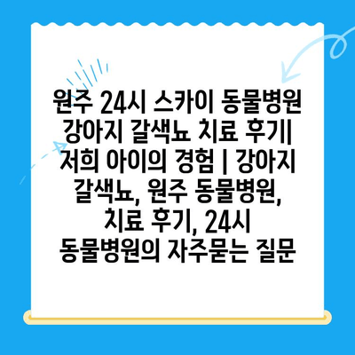 원주 24시 스카이 동물병원 강아지 갈색뇨 치료 후기| 저희 아이의 경험 | 강아지 갈색뇨, 원주 동물병원, 치료 후기, 24시 동물병원