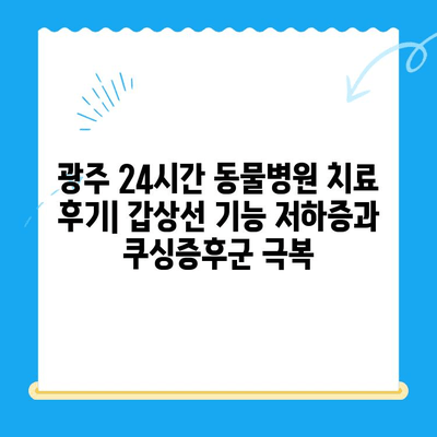 광주 24시간 동물병원 갑상선 기능 저하증 및 쿠싱증후군 치료 후기|  반려동물 건강 회복 이야기 | 광주, 동물병원, 갑상선, 쿠싱, 치료 후기, 반려동물 건강