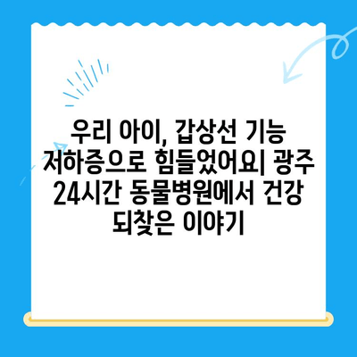 광주 24시간 동물병원 갑상선 기능 저하증 및 쿠싱증후군 치료 후기|  반려동물 건강 회복 이야기 | 광주, 동물병원, 갑상선, 쿠싱, 치료 후기, 반려동물 건강