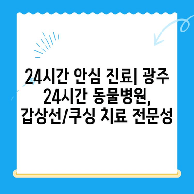 광주 24시간 동물병원 갑상선 기능 저하증 및 쿠싱증후군 치료 후기|  반려동물 건강 회복 이야기 | 광주, 동물병원, 갑상선, 쿠싱, 치료 후기, 반려동물 건강