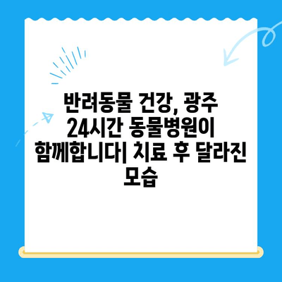 광주 24시간 동물병원 갑상선 기능 저하증 및 쿠싱증후군 치료 후기|  반려동물 건강 회복 이야기 | 광주, 동물병원, 갑상선, 쿠싱, 치료 후기, 반려동물 건강