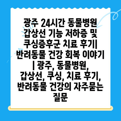 광주 24시간 동물병원 갑상선 기능 저하증 및 쿠싱증후군 치료 후기|  반려동물 건강 회복 이야기 | 광주, 동물병원, 갑상선, 쿠싱, 치료 후기, 반려동물 건강