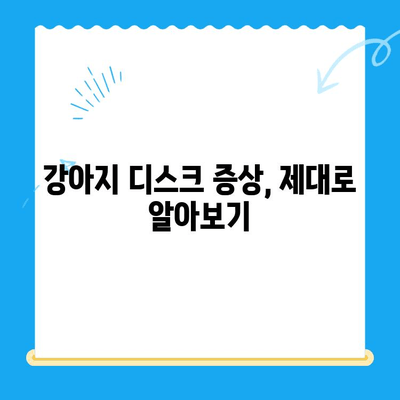 대구 24시 강아지 디스크 검진| 범어동물의료센터에서 안전하게 | 24시 응급, 전문 의료진, 빠른 진료, 디스크 증상, 강아지 건강