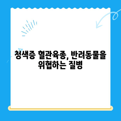 청색증 혈관육종| 증상과 수술 후기 | 24시간 지구촌 동물메디컬센터 경험 공유
