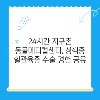 청색증 혈관육종| 증상과 수술 후기 | 24시간 지구촌 동물메디컬센터 경험 공유