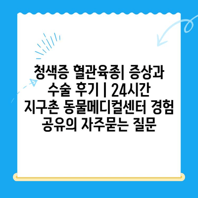 청색증 혈관육종| 증상과 수술 후기 | 24시간 지구촌 동물메디컬센터 경험 공유