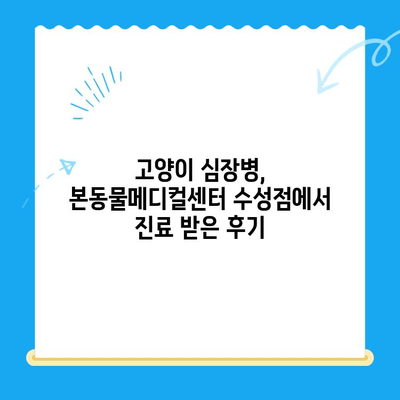 고양이 심장진료 후기| 본동물메디컬센터 수성점 | 고양이 심장병, 동물병원 추천, 진료 경험 공유