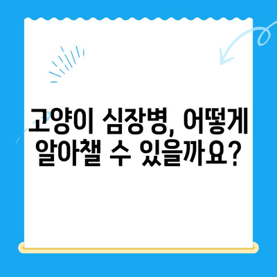 고양이 심장진료 후기| 본동물메디컬센터 수성점 | 고양이 심장병, 동물병원 추천, 진료 경험 공유