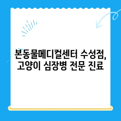 고양이 심장진료 후기| 본동물메디컬센터 수성점 | 고양이 심장병, 동물병원 추천, 진료 경험 공유