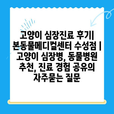 고양이 심장진료 후기| 본동물메디컬센터 수성점 | 고양이 심장병, 동물병원 추천, 진료 경험 공유