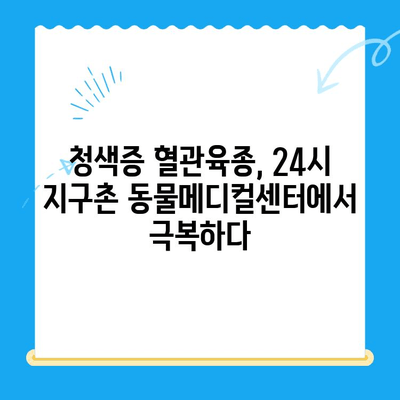 청색증 혈관육종 수술 후기| 24시 지구촌 동물메디컬센터의 경험 | 반려동물, 수술 후 관리, 치료 과정