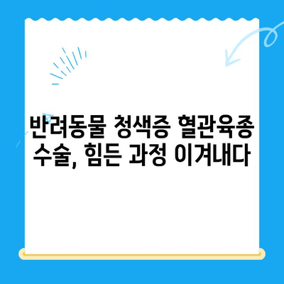 청색증 혈관육종 수술 후기| 24시 지구촌 동물메디컬센터의 경험 | 반려동물, 수술 후 관리, 치료 과정