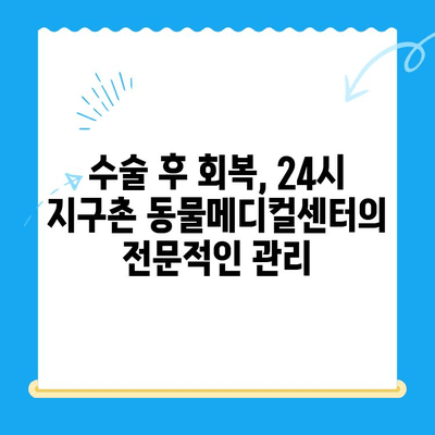 청색증 혈관육종 수술 후기| 24시 지구촌 동물메디컬센터의 경험 | 반려동물, 수술 후 관리, 치료 과정