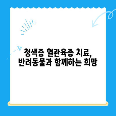 청색증 혈관육종 수술 후기| 24시 지구촌 동물메디컬센터의 경험 | 반려동물, 수술 후 관리, 치료 과정