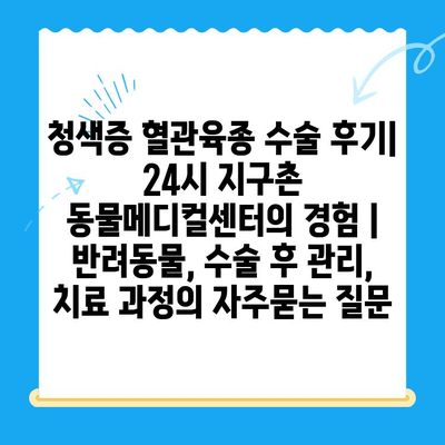 청색증 혈관육종 수술 후기| 24시 지구촌 동물메디컬센터의 경험 | 반려동물, 수술 후 관리, 치료 과정