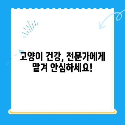 고양이 건강 체크 가이드| 집에서 할 수 있는 간단한 검진 & 동물병원 검진 | 고양이 건강, 건강 체크, 동물병원, 검진, 팁