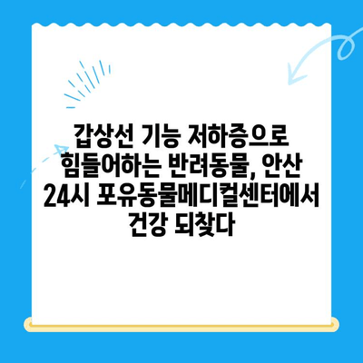 안산 24시 포유동물메디컬센터 갑상선기능저하증, 쿠싱증후군 치료 후기| 반려동물 건강 회복 이야기 | 안산 동물병원, 갑상선, 쿠싱, 치료 경험