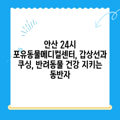 안산 24시 포유동물메디컬센터 갑상선기능저하증, 쿠싱증후군 치료 후기| 반려동물 건강 회복 이야기 | 안산 동물병원, 갑상선, 쿠싱, 치료 경험