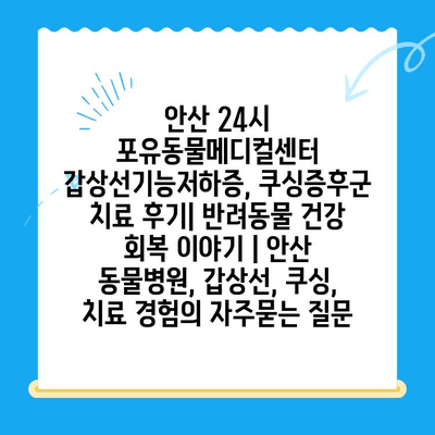 안산 24시 포유동물메디컬센터 갑상선기능저하증, 쿠싱증후군 치료 후기| 반려동물 건강 회복 이야기 | 안산 동물병원, 갑상선, 쿠싱, 치료 경험