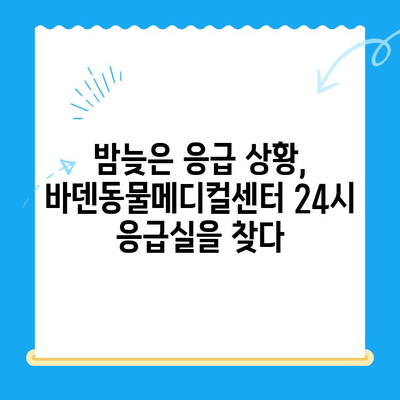 광주 바덴동물메디컬센터 24시 응급실 방문 후기| 솔직한 경험 공유 | 동물병원, 응급진료, 야간진료, 후기