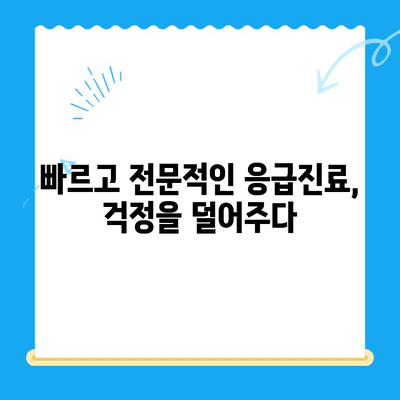 광주 바덴동물메디컬센터 24시 응급실 방문 후기| 솔직한 경험 공유 | 동물병원, 응급진료, 야간진료, 후기
