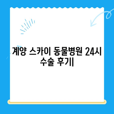 계양 스카이 동물병원 24시 - 반려동물 수술 후기| 만족스러운 경험 공유 | 계양구, 인천 동물병원, 스카이 수술, 수술 후기, 24시 동물병원