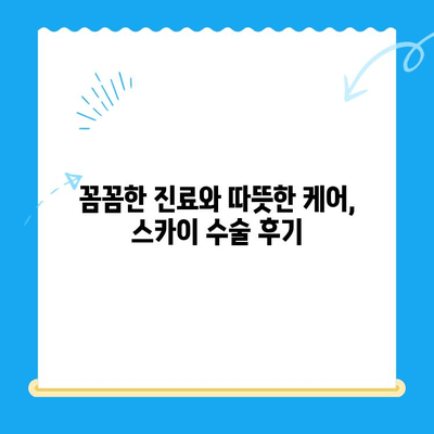 계양 스카이 동물병원 24시 - 반려동물 수술 후기| 만족스러운 경험 공유 | 계양구, 인천 동물병원, 스카이 수술, 수술 후기, 24시 동물병원