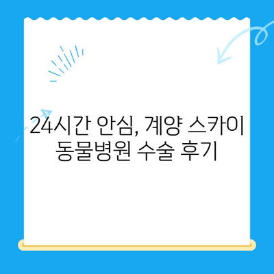 계양 스카이 동물병원 24시 - 반려동물 수술 후기| 만족스러운 경험 공유 | 계양구, 인천 동물병원, 스카이 수술, 수술 후기, 24시 동물병원