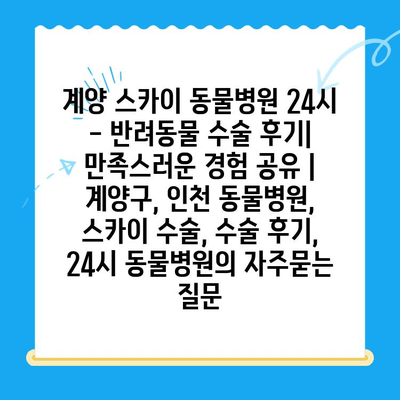 계양 스카이 동물병원 24시 - 반려동물 수술 후기| 만족스러운 경험 공유 | 계양구, 인천 동물병원, 스카이 수술, 수술 후기, 24시 동물병원