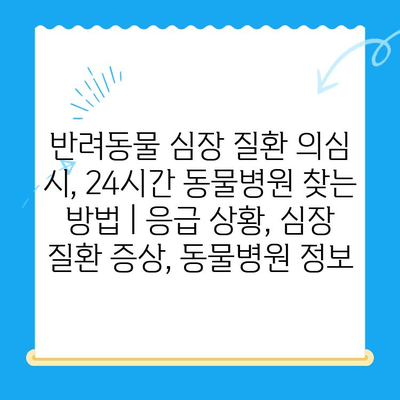 반려동물 심장 질환 의심 시, 24시간 동물병원 찾는 방법 | 응급 상황, 심장 질환 증상, 동물병원 정보
