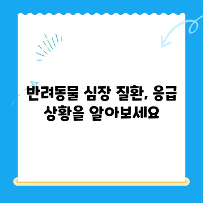 반려동물 심장 질환 의심 시, 24시간 동물병원 찾는 방법 | 응급 상황, 심장 질환 증상, 동물병원 정보