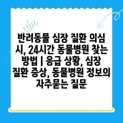 반려동물 심장 질환 의심 시, 24시간 동물병원 찾는 방법 | 응급 상황, 심장 질환 증상, 동물병원 정보