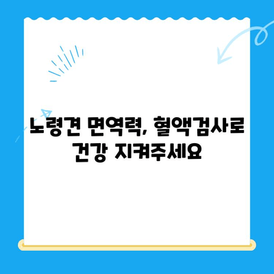 성북구 24시 동물병원 노견 강아지 면역력 혈액검사| 건강 지키는 필수 가이드 | 노령견, 면역력 강화, 건강 관리 팁