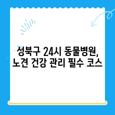 성북구 24시 동물병원 노견 강아지 면역력 혈액검사| 건강 지키는 필수 가이드 | 노령견, 면역력 강화, 건강 관리 팁