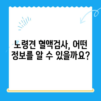 성북구 24시 동물병원 노견 강아지 면역력 혈액검사| 건강 지키는 필수 가이드 | 노령견, 면역력 강화, 건강 관리 팁