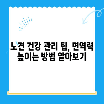 성북구 24시 동물병원 노견 강아지 면역력 혈액검사| 건강 지키는 필수 가이드 | 노령견, 면역력 강화, 건강 관리 팁