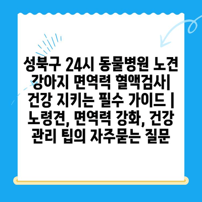 성북구 24시 동물병원 노견 강아지 면역력 혈액검사| 건강 지키는 필수 가이드 | 노령견, 면역력 강화, 건강 관리 팁