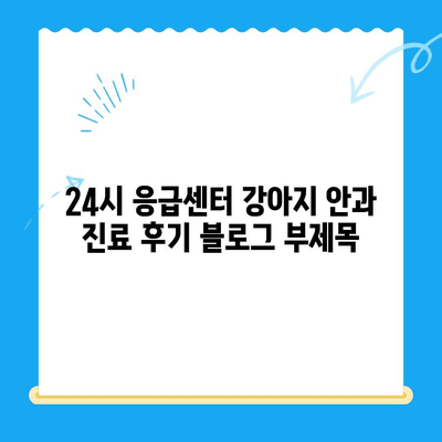 24시 응급센터 강아지 안과 진료 후기| 용인, 평택, 오산 | 강아지 안과 응급, 야간 진료, 동물병원 추천