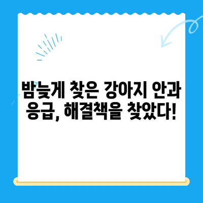 24시 응급센터 강아지 안과 진료 후기| 용인, 평택, 오산 | 강아지 안과 응급, 야간 진료, 동물병원 추천