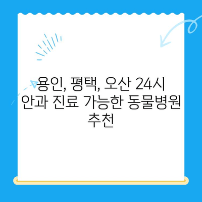 24시 응급센터 강아지 안과 진료 후기| 용인, 평택, 오산 | 강아지 안과 응급, 야간 진료, 동물병원 추천