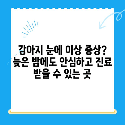 24시 응급센터 강아지 안과 진료 후기| 용인, 평택, 오산 | 강아지 안과 응급, 야간 진료, 동물병원 추천