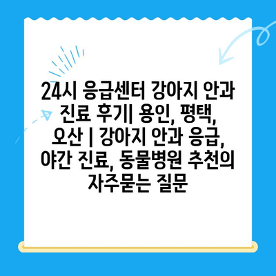 24시 응급센터 강아지 안과 진료 후기| 용인, 평택, 오산 | 강아지 안과 응급, 야간 진료, 동물병원 추천