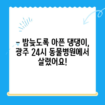 광주 24시간 동물병원 반려견 진료 후기| 솔직한 경험 공유 | 광주, 24시 동물병원, 반려견, 진료 후기