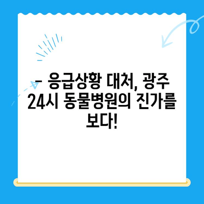 광주 24시간 동물병원 반려견 진료 후기| 솔직한 경험 공유 | 광주, 24시 동물병원, 반려견, 진료 후기