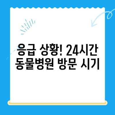 강아지 토사물, 원인부터 24시간 동물병원 치료비까지 | 응급 상황 대처 가이드