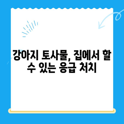 강아지 토사물, 원인부터 24시간 동물병원 치료비까지 | 응급 상황 대처 가이드