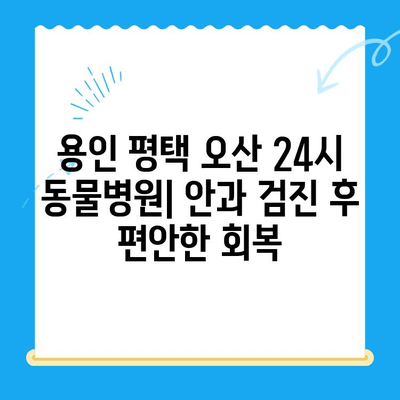 용인 평택 오산 24시 동물병원 안과 검진 후 회복| 강아지의 안전한 휴식 | 응급, 안과, 회복, 휴식