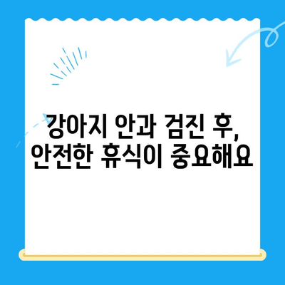 용인 평택 오산 24시 동물병원 안과 검진 후 회복| 강아지의 안전한 휴식 | 응급, 안과, 회복, 휴식