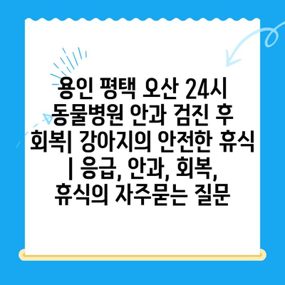 용인 평택 오산 24시 동물병원 안과 검진 후 회복| 강아지의 안전한 휴식 | 응급, 안과, 회복, 휴식