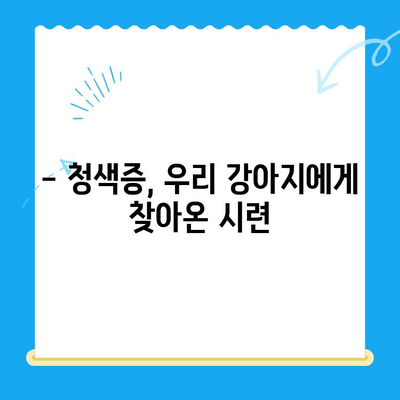 강아지 청색증 치료 후기| 지구촌동물메디컬센터에서 만난 희망 | 청색증 증상, 치료 과정, 회복 이야기